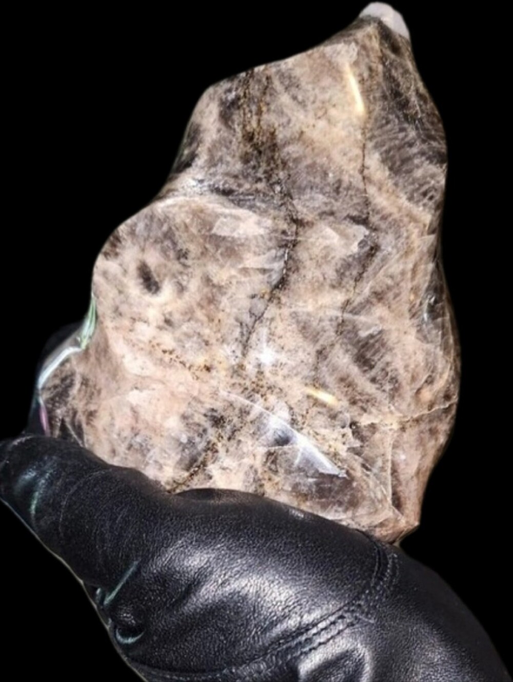 GIGANTIC 3lb Chocolate Black Moonstone Statement Freeform-High Quality-FLASHY!✨️